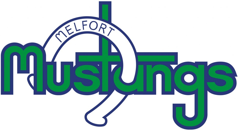 Melfort Mustangs 2016-Pres Primary Logo iron on transfers for clothing